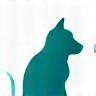 Logo Clinivet Santé